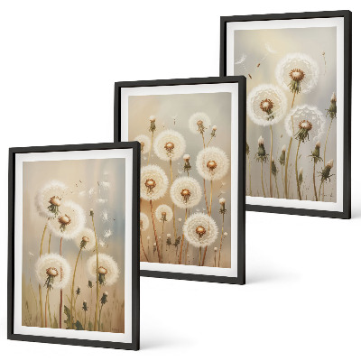 Set of 3 framed wall art pieces White dandelions on a light background
