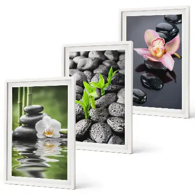Wall art set calm zen composition of flowers and water