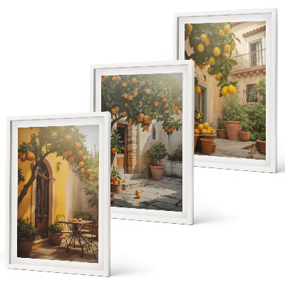 Set of 3 framed wall art pieces Sunny patio citrus pots