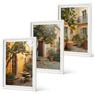 Wall art set Garden citrus sun