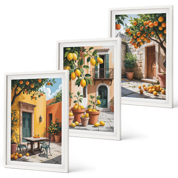 Three-piece wall art piece Citrus fruits in the garden