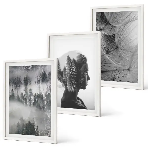 Set of 3 framed wall art pieces featuring a forest fog landscape with trees and dandelions