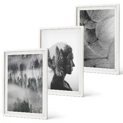Set of 3 framed wall art pieces featuring a forest fog landscape with trees and dandelions
