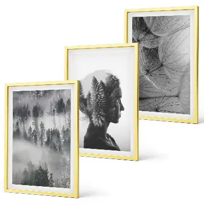 Set of 3 framed wall art pieces featuring a forest fog landscape with trees and dandelions