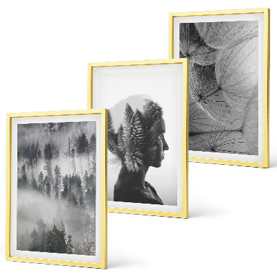 Set of 3 framed wall art pieces Forest fog portrait tree dandelion