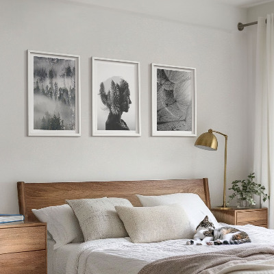 Set of 3 framed wall art pieces Forest fog portrait tree dandelion
