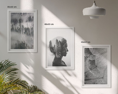 Set of 3 framed wall art pieces Forest fog portrait tree dandelion