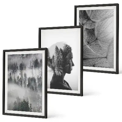Set of 3 framed wall art pieces featuring a forest fog landscape with trees and dandelions