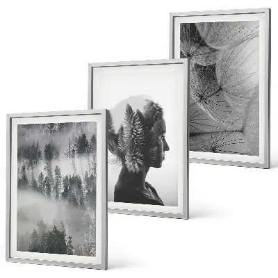 Set of 3 framed wall art pieces featuring a forest fog landscape with trees and dandelions
