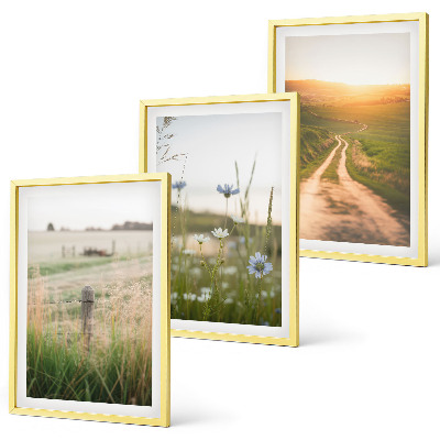 Three-piece wall art piece Landscapes nature fields path