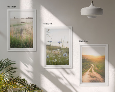 Three-piece wall art piece Landscapes nature fields path