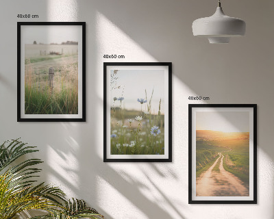 Three-piece wall art piece Landscapes nature fields path