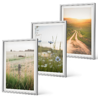 Three-piece wall art piece Landscapes nature fields path