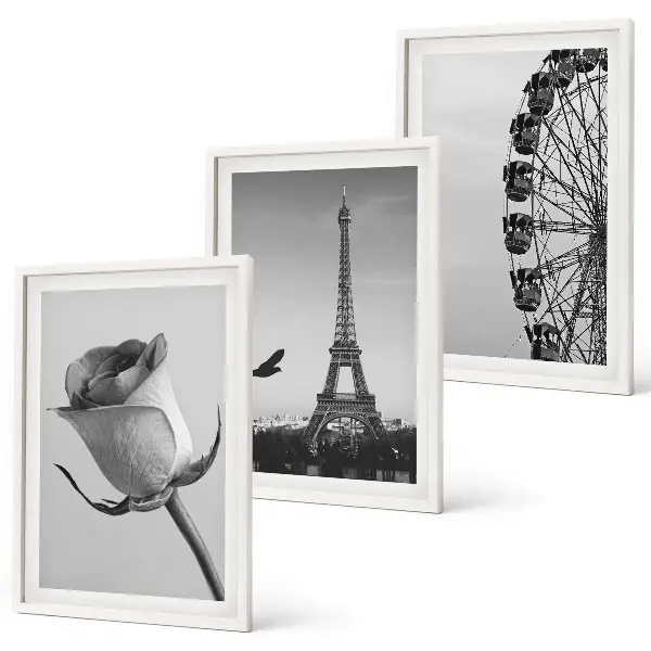 Rose Eiffel Tower Ferris wheel wall art three-piece set