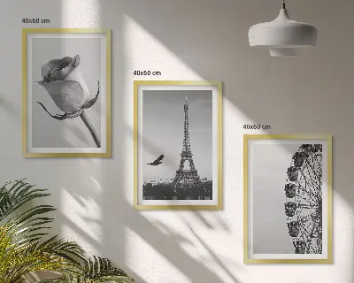 Rose Eiffel Tower Ferris wheel wall art three-piece set