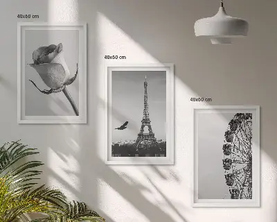 Rose Eiffel Tower Ferris wheel wall art three-piece set