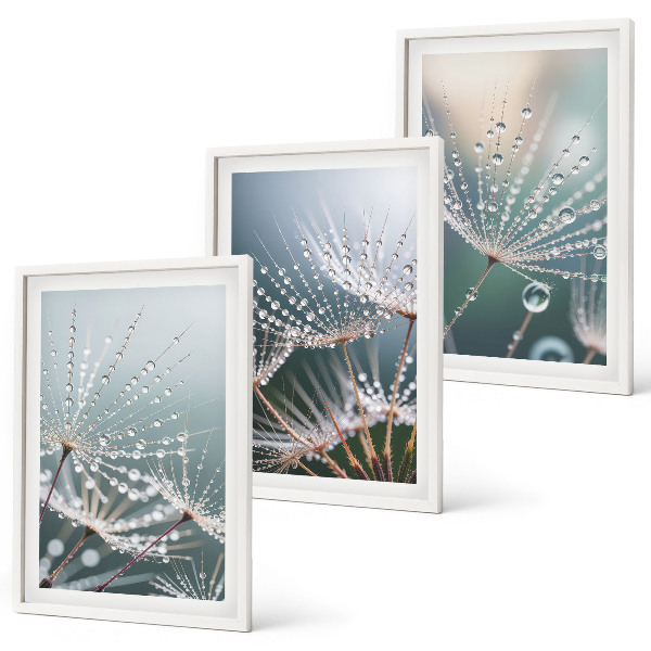 Wall art set Water drops on dandelion shoots