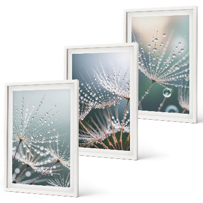 Wall art set Water drops on dandelion shoots