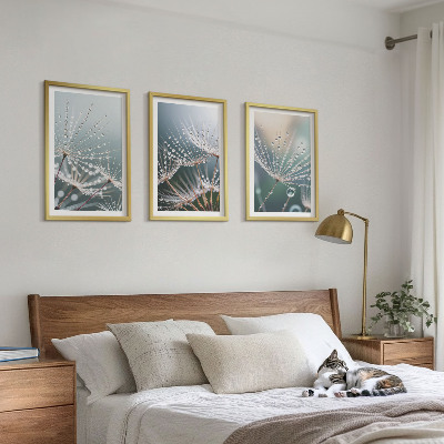 Wall art set Water drops on dandelion shoots
