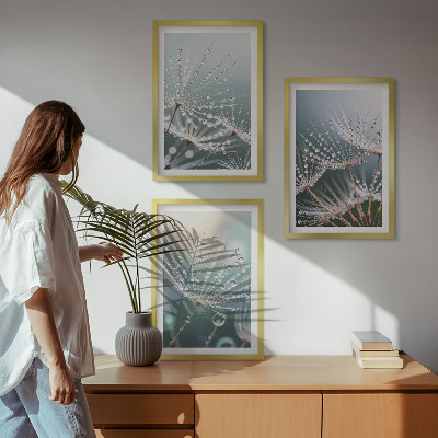 Wall art set Water drops on dandelion shoots