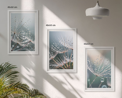 Wall art set Water drops on dandelion shoots