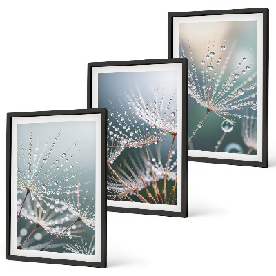 Wall art set Water drops on dandelion shoots