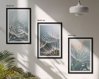 Wall art set Water drops on dandelion shoots
