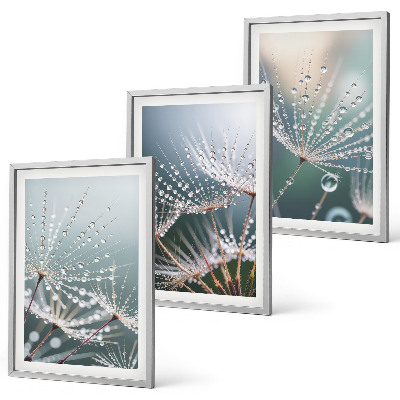 Wall art set Water drops on dandelion shoots