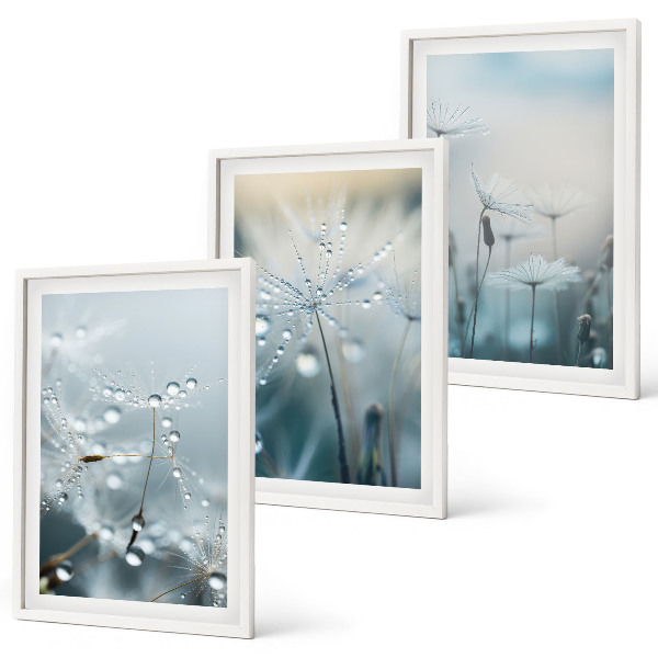 Three-piece wall art piece Dewdrops on dandelions