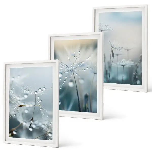 Dewdrops on dandelions three-piece wall art set