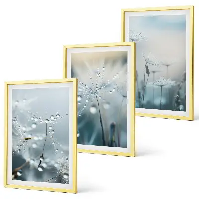 Dewdrops on dandelions three-piece wall art set