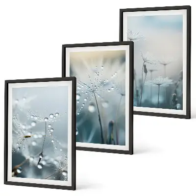 Dewdrops on dandelions three-piece wall art set