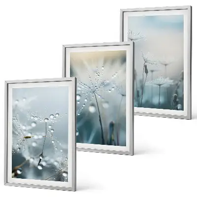 Dewdrops on dandelions three-piece wall art set