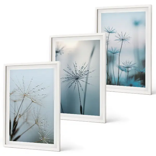 Dandelions with water drops wall art set of 3 framed pieces