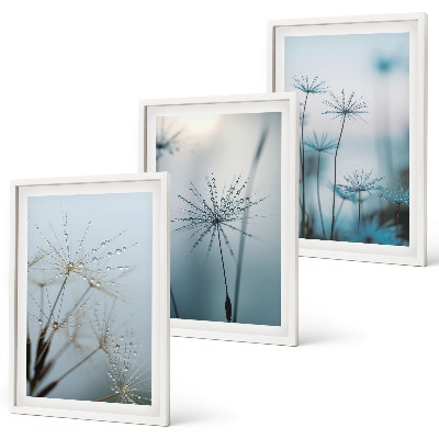 Set of 3 framed wall art pieces Dandelions with water drops