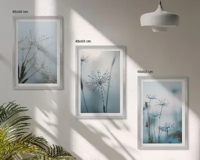 Dandelions with water drops wall art set of 3 framed pieces