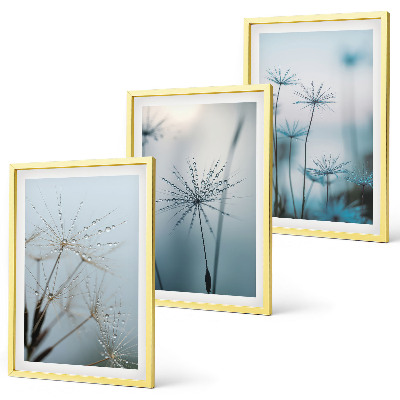 Set of 3 framed wall art pieces Dandelions with water drops