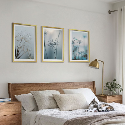 Set of 3 framed wall art pieces Dandelions with water drops