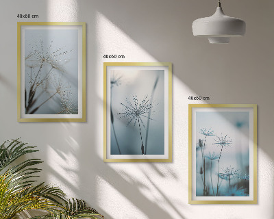 Set of 3 framed wall art pieces Dandelions with water drops