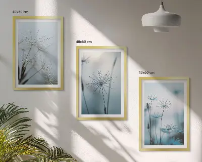Dandelions with water drops wall art set of 3 framed pieces