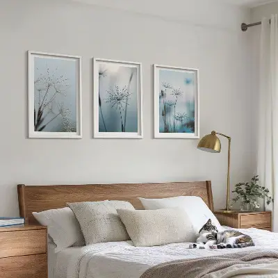Dandelions with water drops wall art set of 3 framed pieces