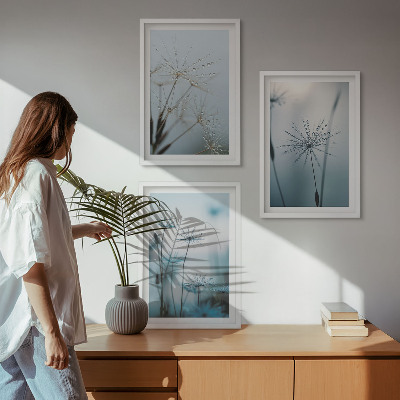 Set of 3 framed wall art pieces Dandelions with water drops