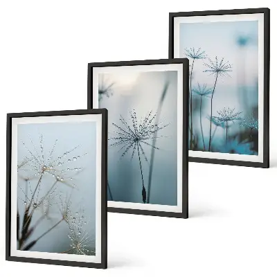 Dandelions with water drops wall art set of 3 framed pieces
