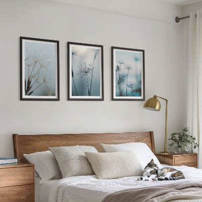 Set of 3 framed wall art pieces Dandelions with water drops