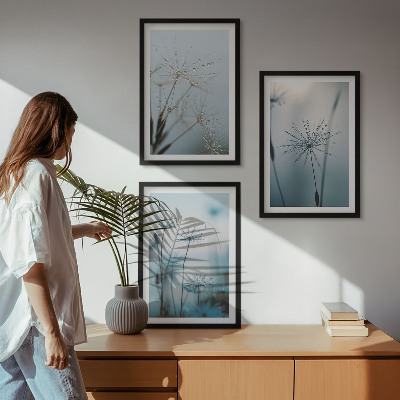 Set of 3 framed wall art pieces Dandelions with water drops
