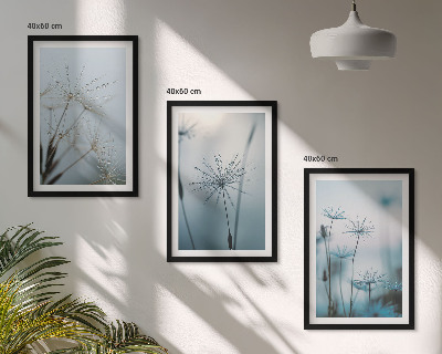 Set of 3 framed wall art pieces Dandelions with water drops