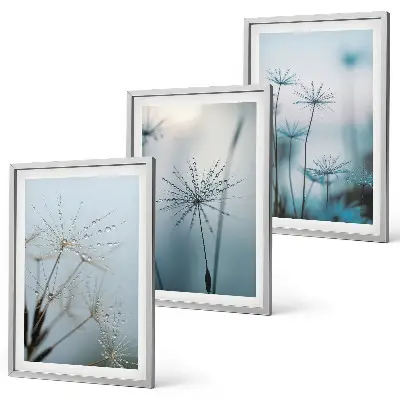 Dandelions with water drops wall art set of 3 framed pieces