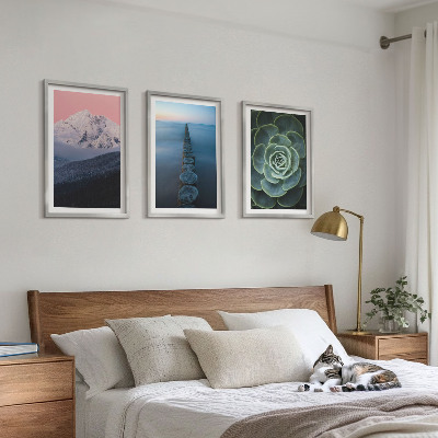 Three-piece wall art piece Mountains pink sky water succulent