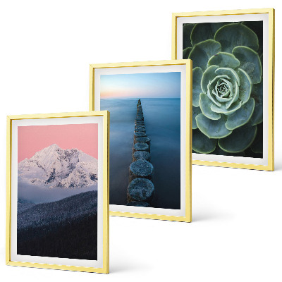 Three-piece wall art piece Mountains pink sky water succulent