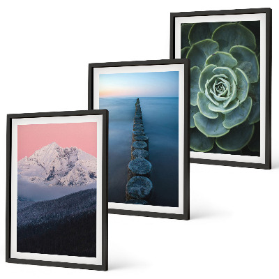 Three-piece wall art piece Mountains pink sky water succulent